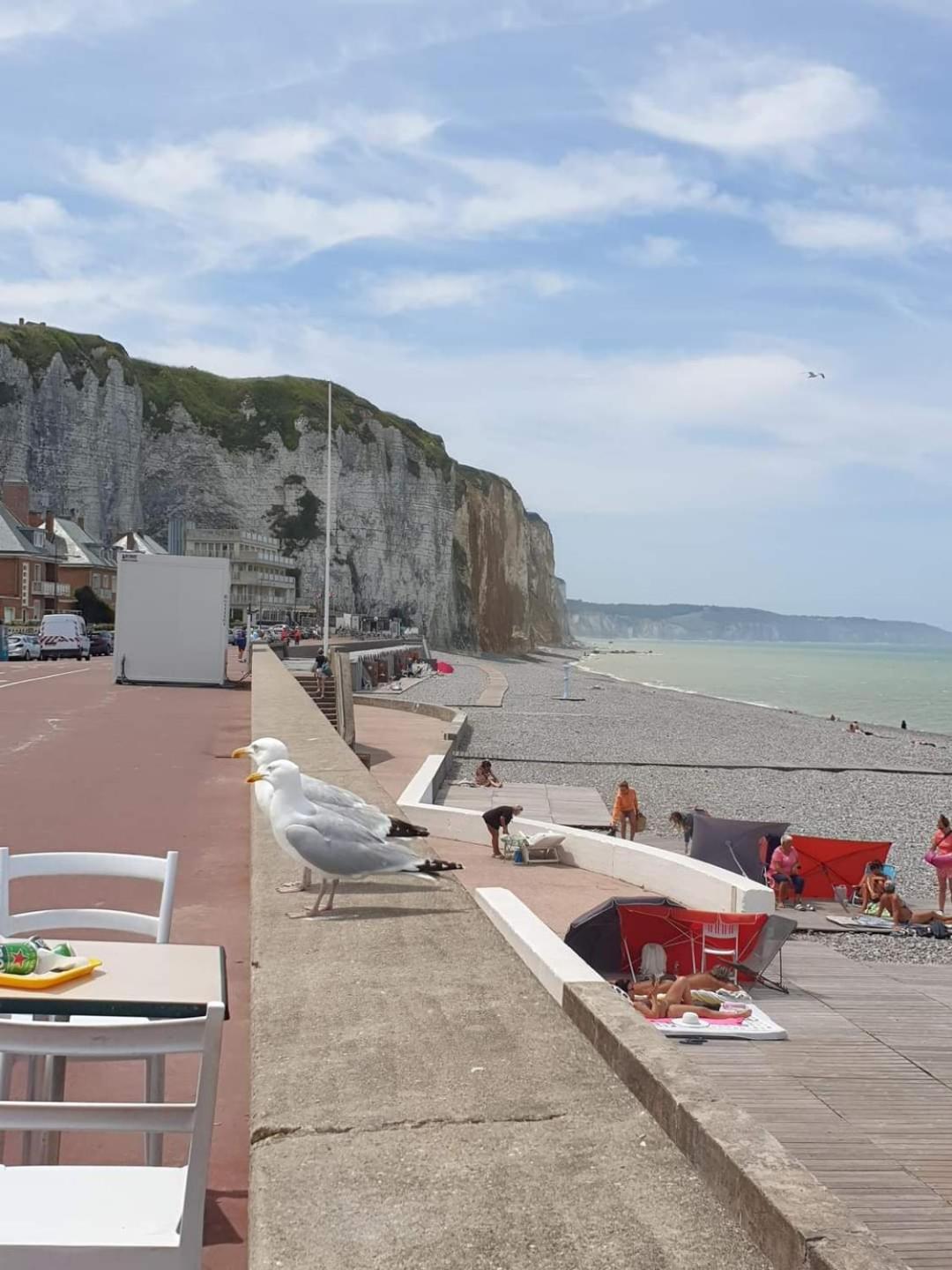 Appartement Renove Tout Confort Mers-les-Bains Exterior foto